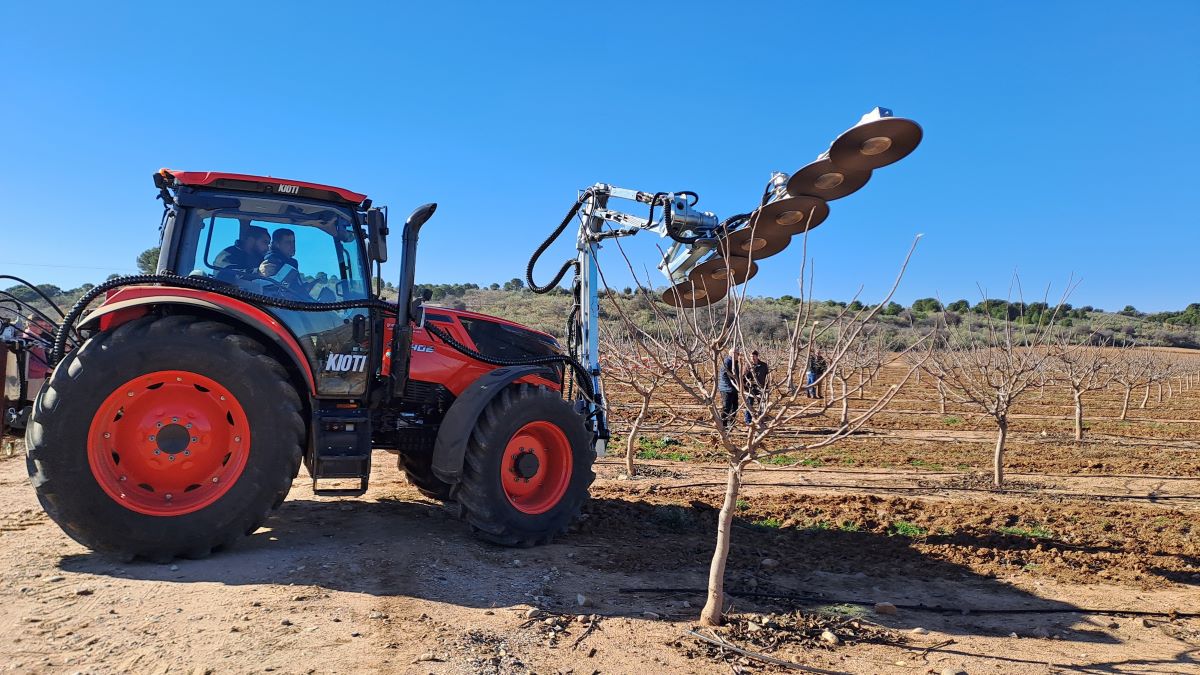 Pistacho 1 20250116_140625 b|Pistacho 2 b 20250116_120536|sala vista b|campo usar b|Pistachos-Posc